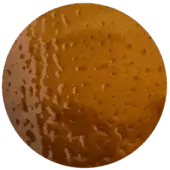 Textured circular disc, mottled brown and tan tones, against olive-green; granular composite surface with irregular markings and speckled effect.