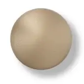 Circular metal object, champagne finish, textured grain, reflective surface, slight shadow, studio lighting, Schiavon design.