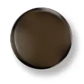 Bronze plate, matte finish, circular shape with raised rim, presented on a white background with soft shadow detail.