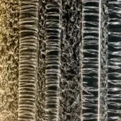 Textured wall installation, translucent columns, amber glow, dark organic backdrop, spiraling layered structure, varying heights, studio lighting.