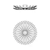 Agave ceiling lamp technical drawing, radial blades extend from circular hub, flush mount, black lines on white background.