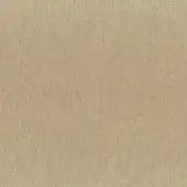 Beige linen fabric sample displaying a tight, linear weave with subtle ribbed texture and tonal variations; identified as “5376 poudre”.