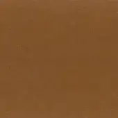 Brown fabric swatch with a tight, uniform weave and matte texture; subtle mottled shading suggests a durable, natural fiber composition.
