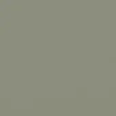 Sage green color swatch displaying a matte, textured surface with a fine grain, consistent tone, and diffused, even lighting.