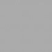 Light gray seamless texture with fine, irregular grain and a matte finish, resembling brushed leather or textured paper for subtle backgrounds.