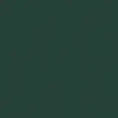 Muted green textured background, forest green tone, granular matte surface, solid color composition, understated visual structure.