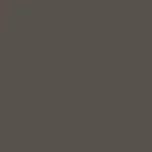 Textured surface in brownish-gray tones with a granular quality, displaying subtle tonal variations and a diffused, even lighting scheme.