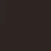 Dark brown matte surface, uniform color field, subtle tonal gradient, smooth texture, consistent lighting, no pattern or visible markings present.