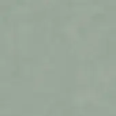 Grayish-green textured surface with granular quality, resembling linen or canvas, displaying subtle tonal variations and a diffused, aged effect.