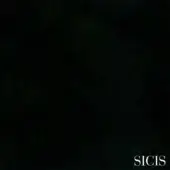 Sicis leather sample, Hamptons Coal, displays a dark, granular texture with mottled tonal variations and a white SICIS logo.
