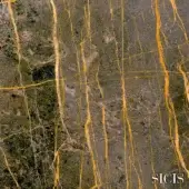 Dark gray Port Saint Laurent marble texture with irregular golden-yellow veins, dense granular surface, and subtle tonal variations, Sicis logo.