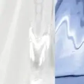 Radiographic spine scan paired with blue electrocardiogram waveform, displaying vertebral structure and heart electrical activity patterns.