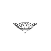 Excelsior ceiling lamp, black line drawing, conical mounting plate with symmetrical petal-like canopy and chain-link details.