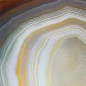 Agate stone cross-section displaying concentric beige, white, gray, and brown bands with a glossy, layered geological pattern and subtle text overlay.