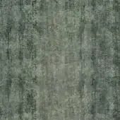 Mottled gray-green texture displays weathered concrete or stone with vertical striations, irregular patches, and a dense, matte, granular surface.