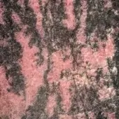 Red Vetrite surface with vertical striations, dark gray veins, and a rough, crystalline texture resembling a cave formation.