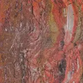 Crimson textured surface displaying layered patterns of red, brown, orange, and gold with vertical fissures and irregular, organic depth.