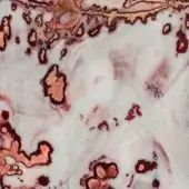 Vetrite material sample, translucent white with red and gold swirling pigments, organic vein-like pattern, labeled “ignite”.