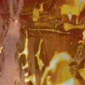 Textured surface with yellow, orange, and brown tones displaying cracked, marbled patterns and granular detail; “sicis” text visible.