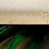 Beige cylindrical surface with gold speckles above a cluster of dark green leaves with gold edges, diffused lighting.