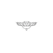 Ceiling lamp, black and white line drawing, featuring a circular shade composed of feather-like elements and a cylindrical mounting point.