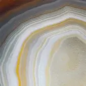 Agate cross-section displaying concentric bands of white, cream, yellow, gray, and brown with a polished, translucent, marbled pattern.