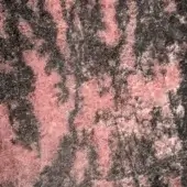 Aged stone texture with muted pink and black tones, displaying irregular lines, vertical striations, and a rough, uneven surface pattern.
