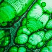 Swirling green pattern with concentric bands, dark crevices, and circular inclusions, glossy texture, fluid movement, natural formations.