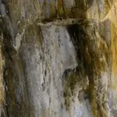 Variegated texture displaying layered earthy tones of pale gray, brown, and golden-yellow with horizontal stratification and a rough, granular surface.