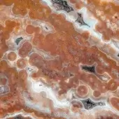 Agate surface displaying concentric circles in reddish-brown, cream, beige, gray, and pale blue-green tones with dark inclusions and a high polish.