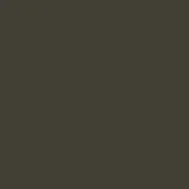 Dark brown matte color swatch fills the frame, presenting a uniform, smooth surface with no texture or pattern and neutral lighting.