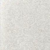 Granular texture, off-white color, matte finish; dense field of small, irregular particles creating a smooth, subtly toned surface.