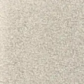 Beige looped pile fabric texture with a soft, plush surface and subtle tonal variations, appearing as a synthetic fiber blend.