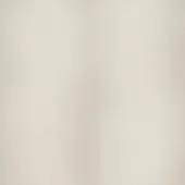 Champagne gold painted panel with brushed texture, displaying a subtle metallic sheen and diffused lighting gradient.