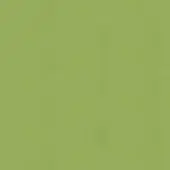 Olive-green textured background with a grainy, mottled surface and diffused lighting, resembling aged paper or fabric with tonal variations.