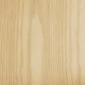 Curved plywood texture, warm beige tone, vertical grain pattern, smooth matte finish, subtle undulation, gentle radius visible.