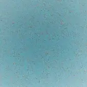 Textured surface with turquoise and beige speckles, resembling porous cork material, matte finish, and even illumination.