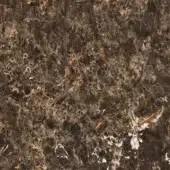 Dark brown texture with swirling gold and light brown veining, rough fibrous surface, and scattered white patches, matte finish.