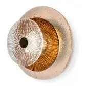 Elegant Sicis Andromeda wall lamp crafted in brass with bronzed glass discs and champagne finish