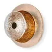Circular wall sconce, bronze and gold metal with textured glass, features concentric rings and radiating linear patterns.