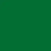 Solid green color 113 verde bosco, matte finish, monochromatic composition with uniform tone and no visible patterns or design elements.