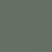 Warm grayish-green color sample labeled “116 grigio caldo” in sans-serif font, presented on a uniform matte background for color reference.