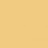 Muted pink orange color field, matte finish, consistent tone, full frame composition, solid background, no texture or design elements present.