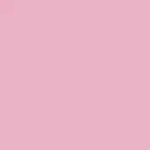Pale pink color swatch, muted dusty rose hue, matte finish, uniform solid background, studio color sample 121 rosa aurora.