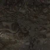 Dark bronze texture with irregular water droplets, displaying a rough, pitted surface and diffused light reflecting subtle highlights.