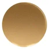 Gold disc with a polished, reflective surface against a white backdrop, featuring a consistent saturated color and smooth circular form.