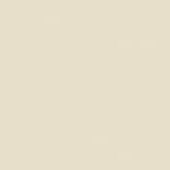 Beige color field, warm creamy tone with subtle saturation variations, matte finish, simple composition, uniform surface, neutral background.