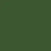 Dark olive green solid color background, matte finish, uniform tone, digital graphic, flat composition, no texture, saturated hue, simple presentation.