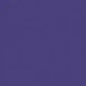 Deep violet solid color background, uniform matte texture, even lighting, flat composition, consistent tone, no gradients or visible patterns present.