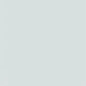 Pale gray-green solid color background, even lighting, flat composition, neutral tone, consistent surface, muted pastel shade, diffuse illumination.